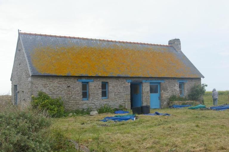 Crèche île du Drenec (Archipel des Glénan)
