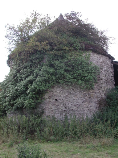 Manoir, Château-Logé (Bourgbarré)