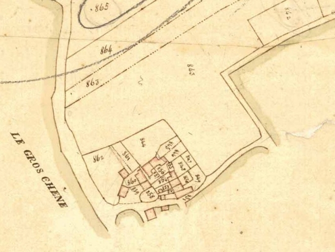 Écart, le Gros Chêne (Meillac)