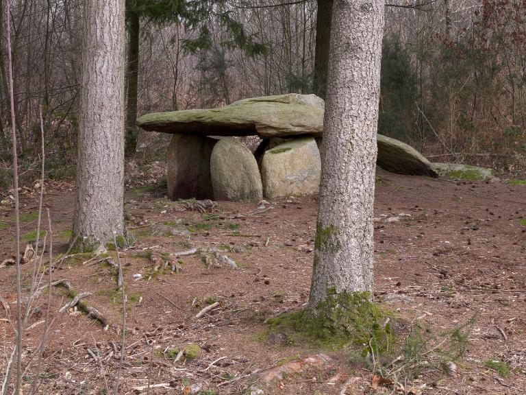 Dolmen des Follets (Saint-Gravé)