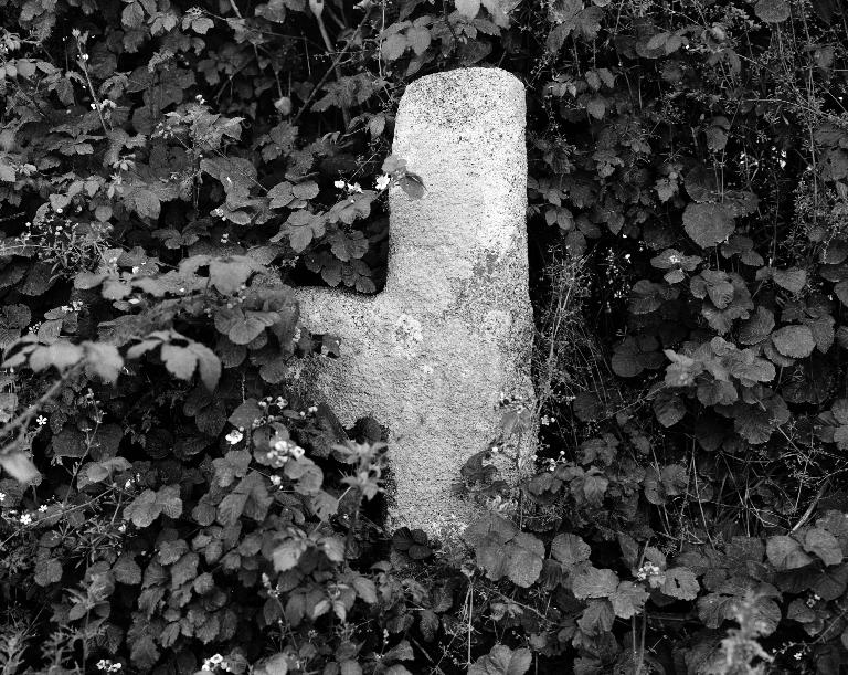Croix de chemin, Lochrist (Plounévez-Lochrist)
