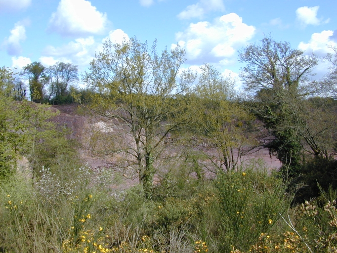 Carrière, près de Cannes (Saint-Thurial)