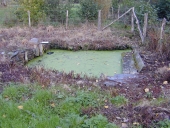 Lavoir, près de Catféon (Renac)