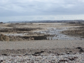 Exploitations conchylicoles, la Baie Blanche (Pleubian)