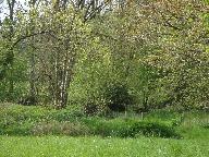 Moulin à papier de Bélliard (Vieux-Vy-sur-couesnon)