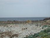 Front de mer : espaces littoraux remarquables (Plougrescant)