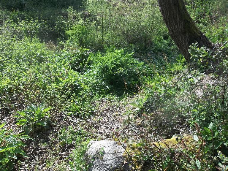 Routoir de Trévros (Plouha)