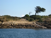 Écart : Île Verte (île de Bréhat)