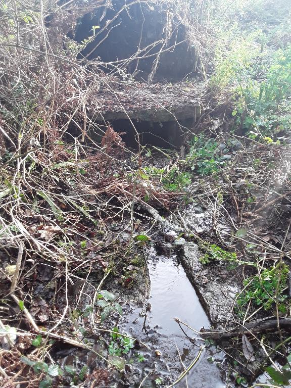 Fontaine de dévotion Sainte-Azénor (Goulien)