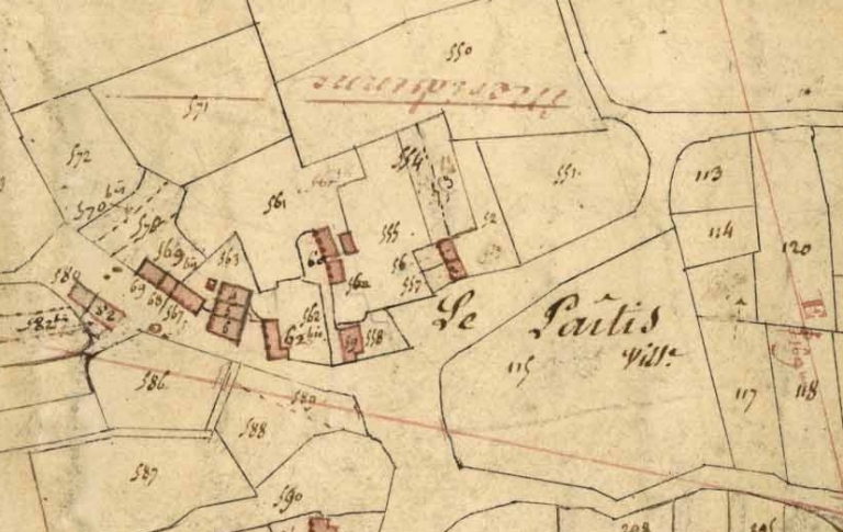 Ecart, le Pâtis (La Selle-Guerchaise)