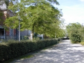 Ancienne promenade de Monthorin, actuellement esplanade du Champ-de-Mars (Rennes)
