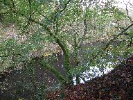 Ardoisière de Kerliou, de l'Eau verte (Châteauneuf-du-Faou)