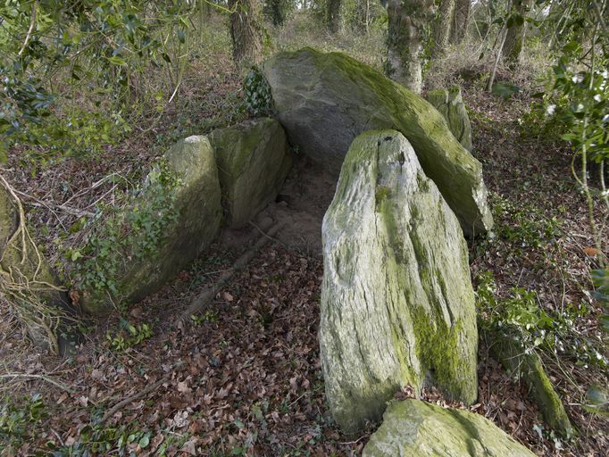 Allée couverte du Chêne Tord, appelée aussi Dolmen du Closier, à l'est de la Métairie (Caro)
