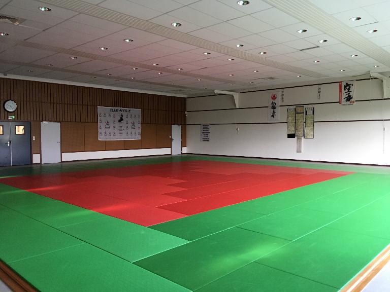 Complexe sportif Jean-Paul Chasseboeuf, 54 avenue Le Brix (Pacé)