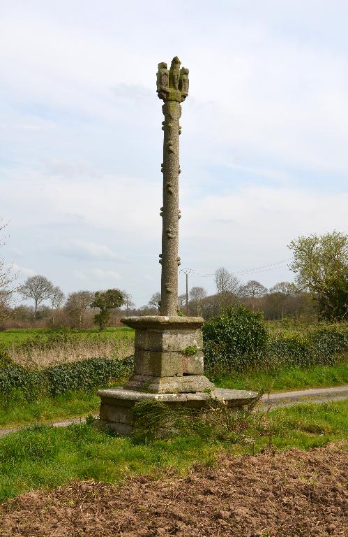 Croix de chemin de Kerguéréon (Ploubezre)