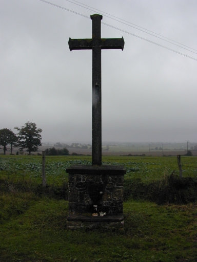 Croix de chemin, près de la Haute Poissonnière (Eancé)