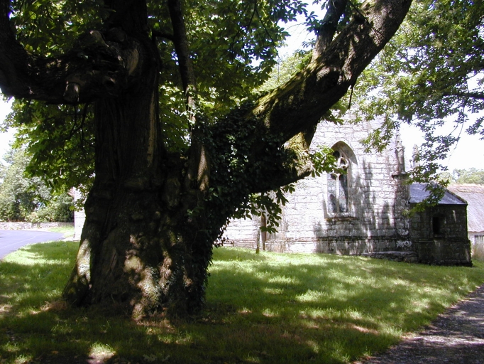 Écart, Saint-Eloi (Guilligomarc'h)