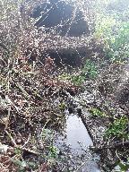 Fontaine de dévotion Sainte-Azénor (Goulien)