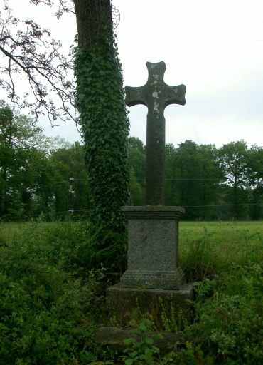 Croix de chemin, la Basse Blochetière (La Chapelle-aux-Filtzméens)