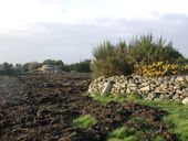 Encuvement pour une pièce antiaérienne de 2 cm n° 5, Kerhouin (Plougasnou)