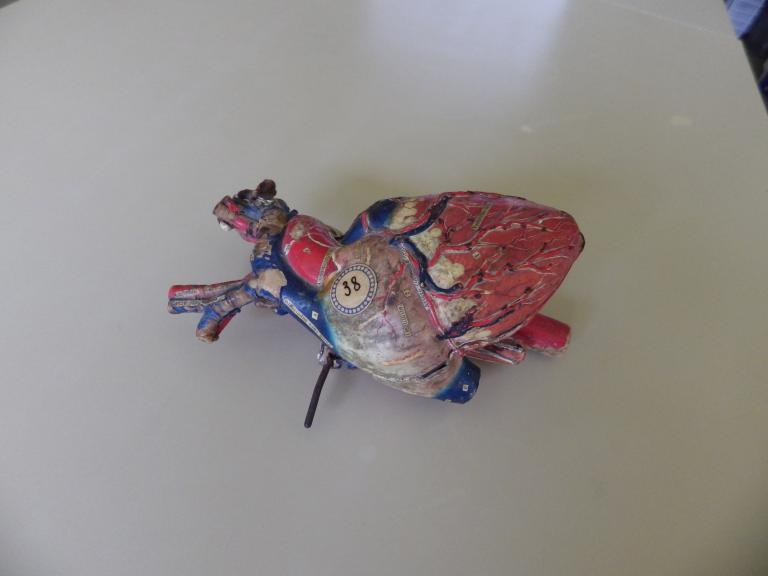 Collections pédagogiques du Lycée Auguste Brizeux, 6 Rue Bourg les Bourgs (Quimper)