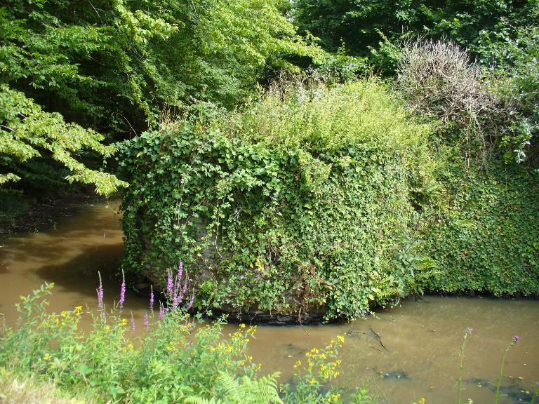 Manoir, La Douettée (Laillée)