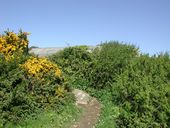 Abri type tôle métro, Pointe Annalouesten, Diben (Plougasnou)
