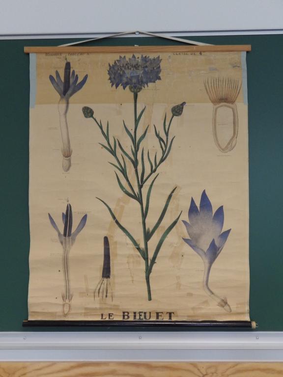 Collections pédagogiques des lycées de Bretagne