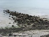 Cale de la caserne Sourdis, Quélern (Roscanvel)