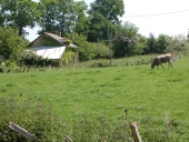 Ferme, la Monneraye (Pacé)