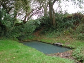 Lavoir ; puits, près de Montenac (Langon)