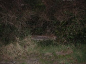 Puits de la Pissotte (Saint-Jacut-de-la-Mer)