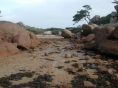 Port de Pors Rolland (Perros-Guirec)
