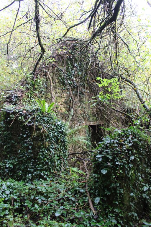 Moulins à grains et à foulon de Guern ar C'Hoadic (Saint-Urbain)