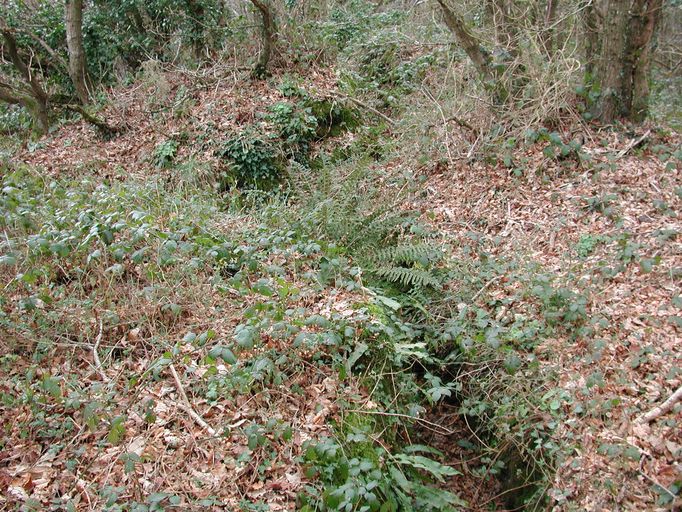 Poste d'observation et tranchées, Roc'h C'hlaz (Carantec)