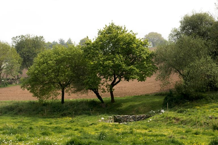 Routoir, Kernabat (Tréguier)