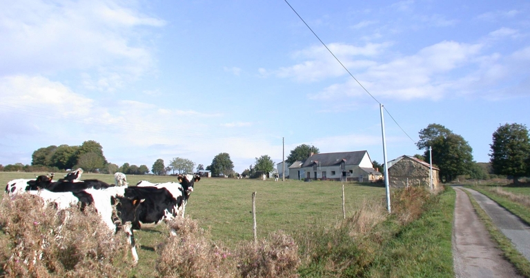 2 ème ferme, l'Epinette (Iffendic)