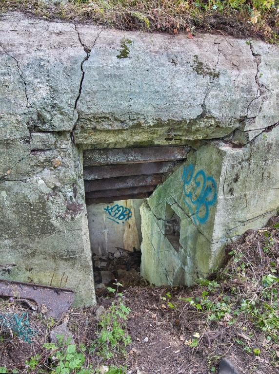 Ensemble fortifié (Po 5), Domaine de la Tour de Cesson, rue de la Tour (Saint-Brieuc)