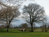 Pont routier, près de Beauvais (Gévezé)