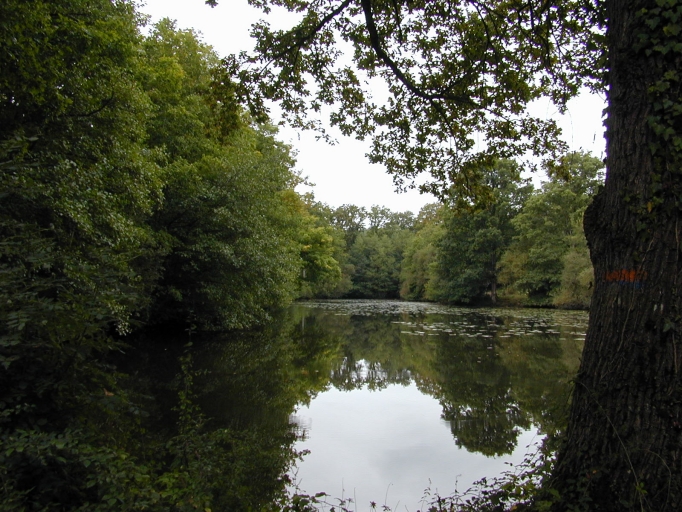 Écart, les Forges (Saint-Ganton)