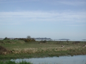 Front de mer : espaces littoraux remarquables (Trégon fusionnée en Beaussais-sur-Mer en 2017)