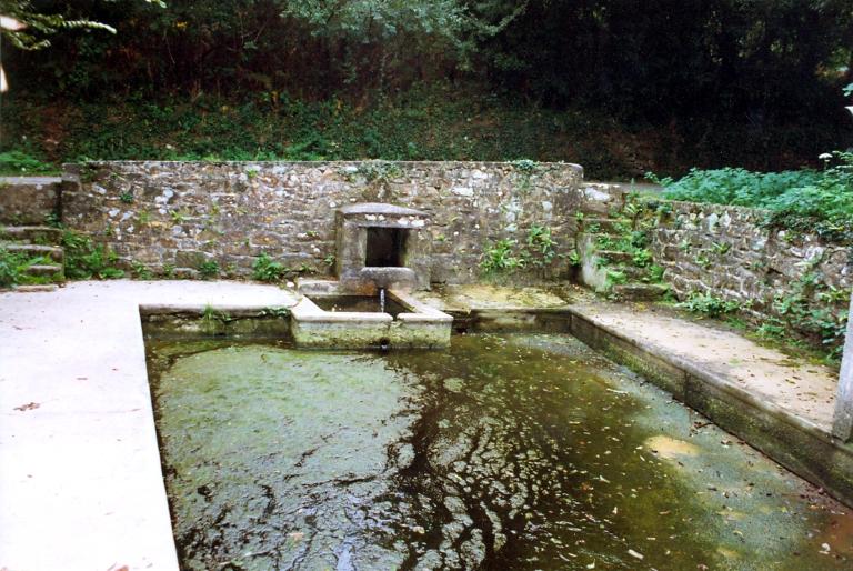 Fontaine Saint-Fiacre, au nord du bourg (Plogoff)