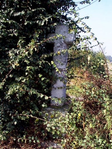 Croix de chemin, dite croix de Laune, près du Haut Foligné (Roz-Landrieux)