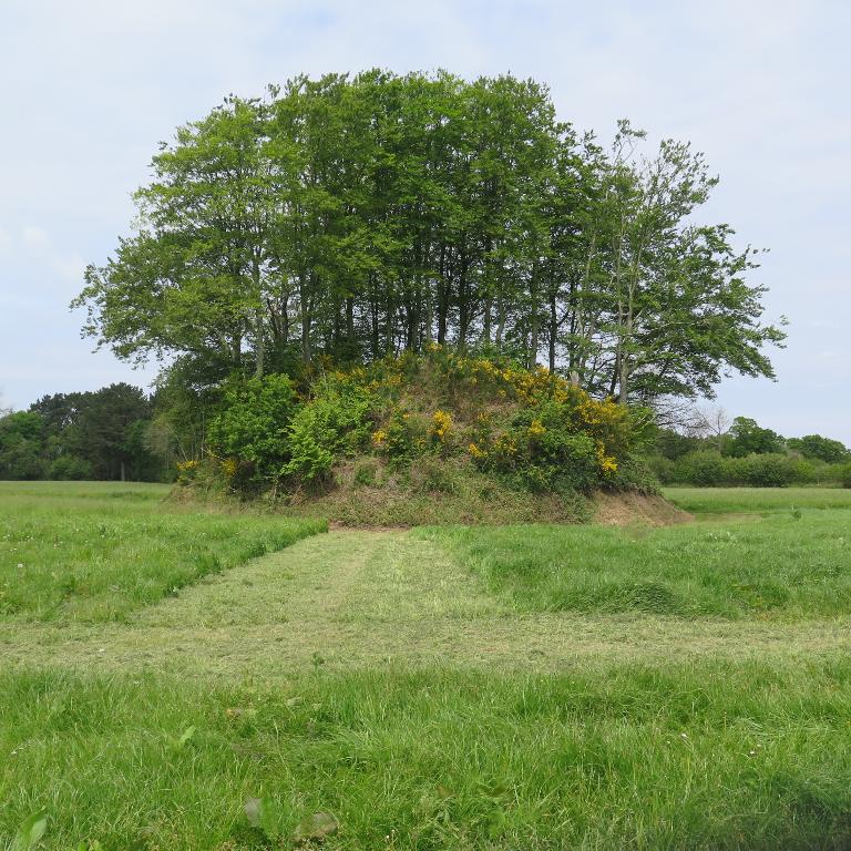 Motte castrale, Croas Husto (Camlez)