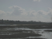 Les salines du Frémur, le Mondy de la Saline (Lancieux)