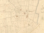 Ecart, la Vignière (Availles-sur-Seiche)