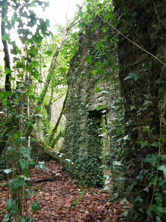 Ardoisière de Minez-ty-Oulin (Gourin)