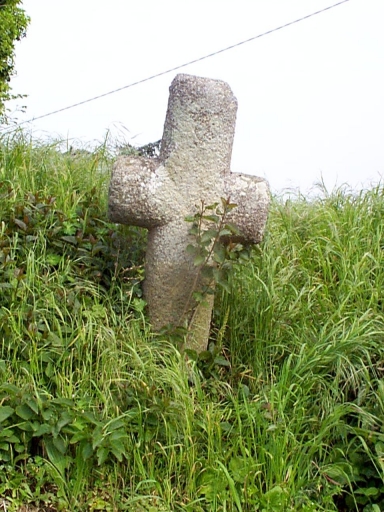Croix de chemin, la Grande Fontaine (Saint-Méloir-des-Ondes)