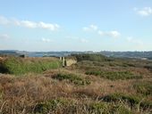Fossé sec, Ile Cézon (Landéda)
