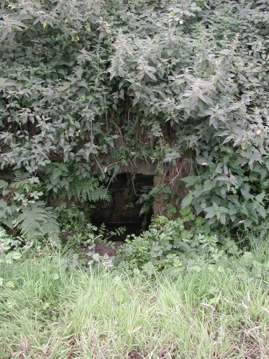 Fontaine Crec'h ar Floc'h, Chemin de Crec'h ar Floc'h (Trégastel)
